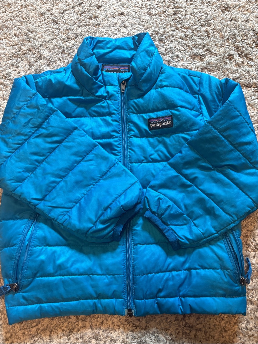 Patagonia Kids Blue Puffer Down Jacket